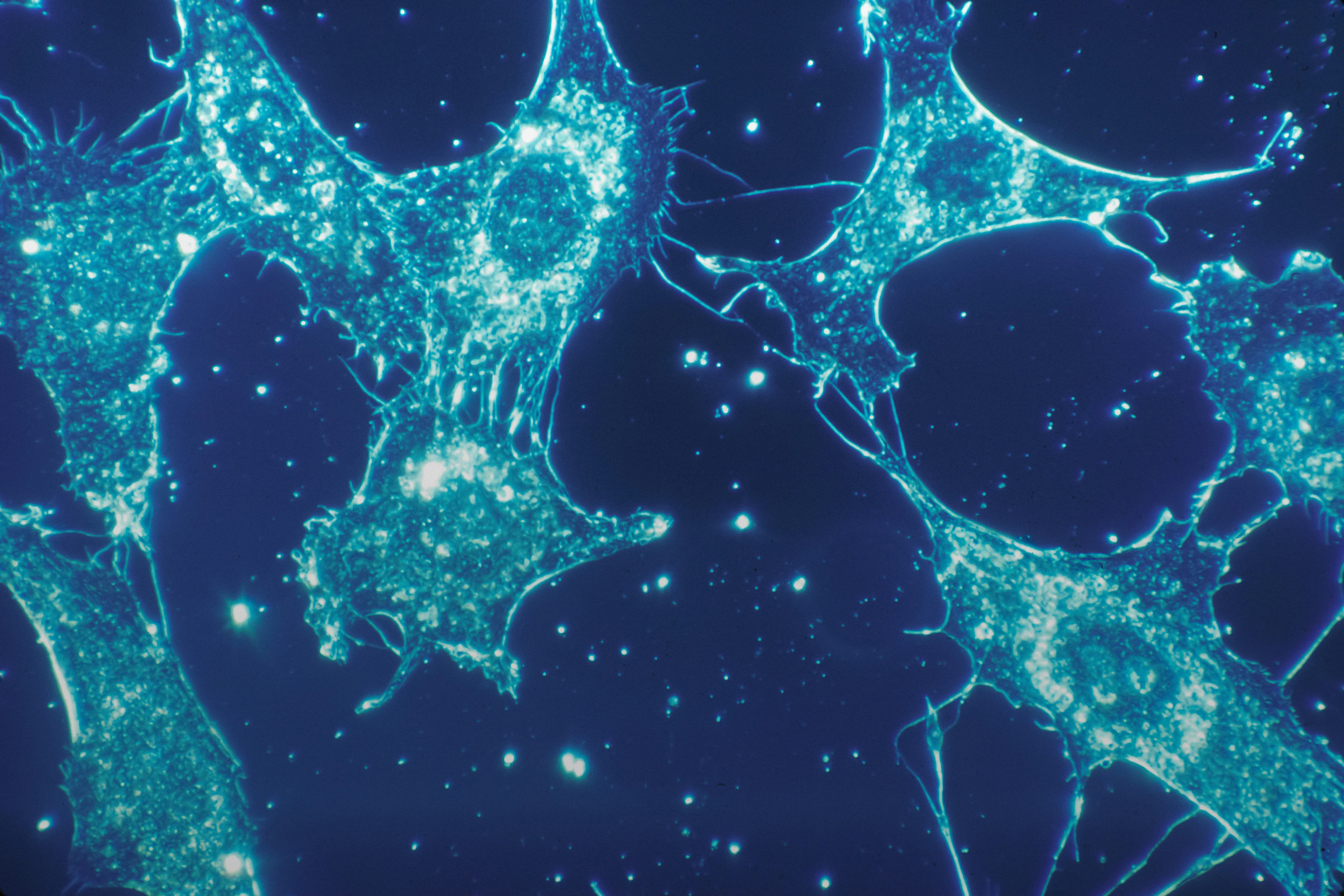 AI-powered bioinformatics analysis