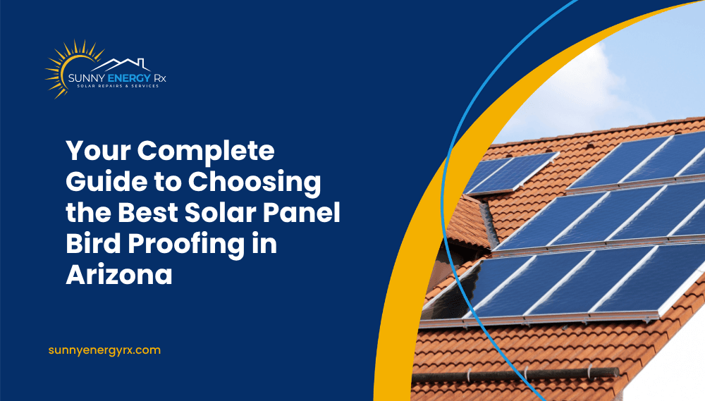 Complete Guide to Choosing the Best Solar Panel Bird Proofing in Arizona