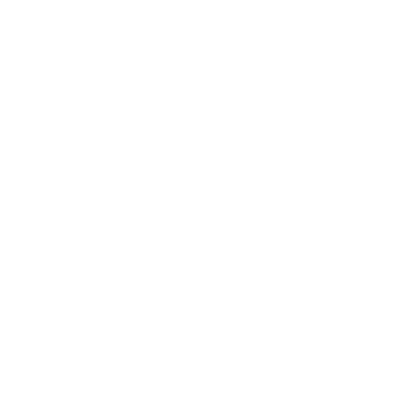 Phishing Attack Defense Icon