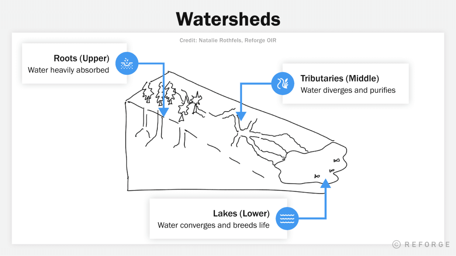 Watersheds, visualization of roots, tributaries, and lakes
