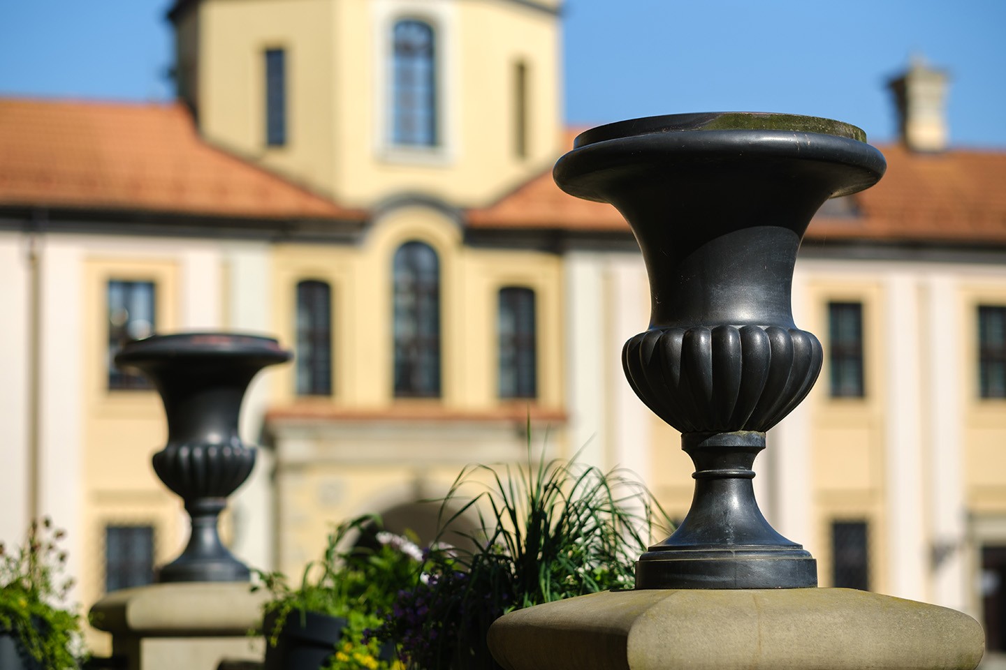 Trust and Estate Valuations - ValuationProfessional.com