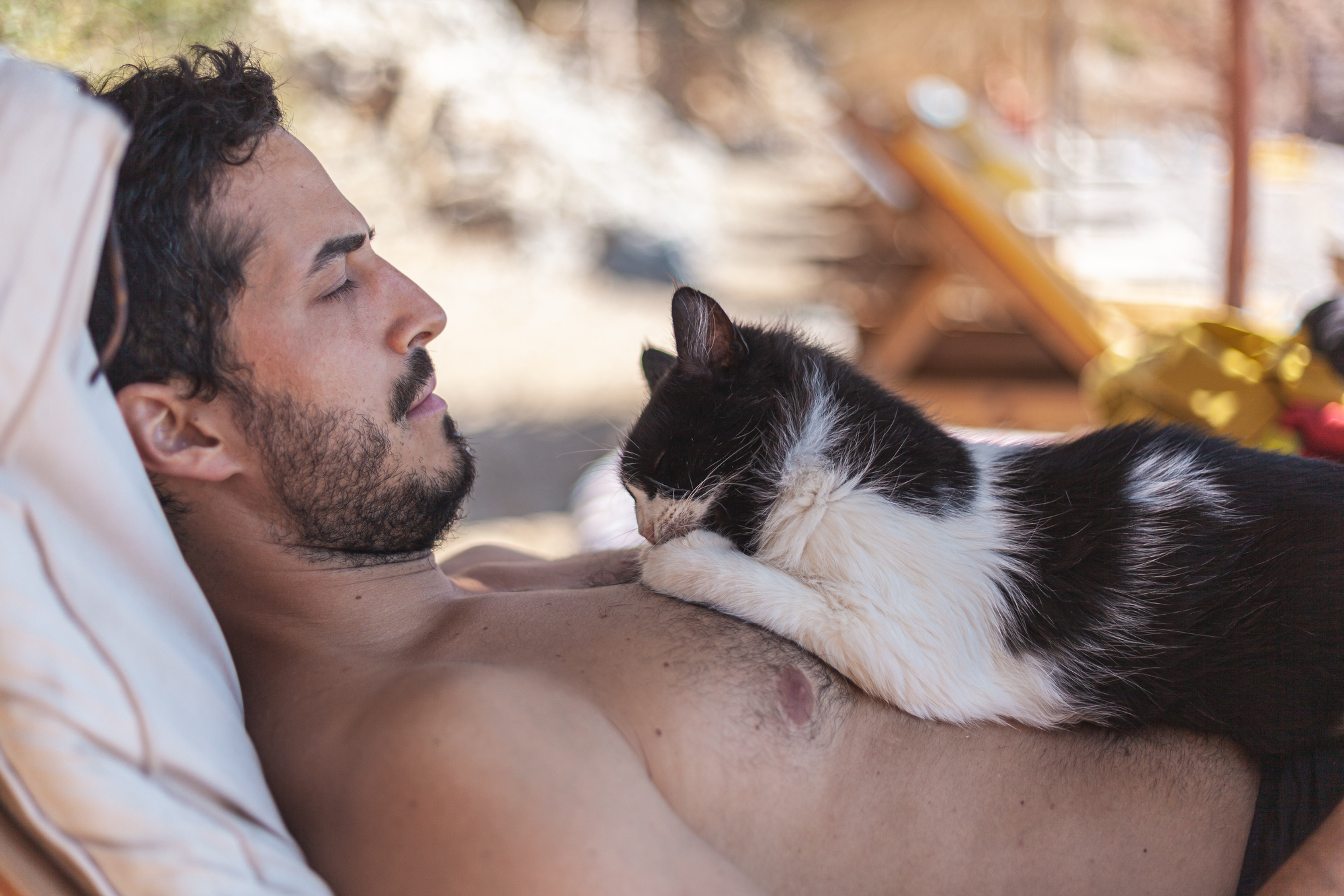 'Cat Dads' include GenZ and NBA players
