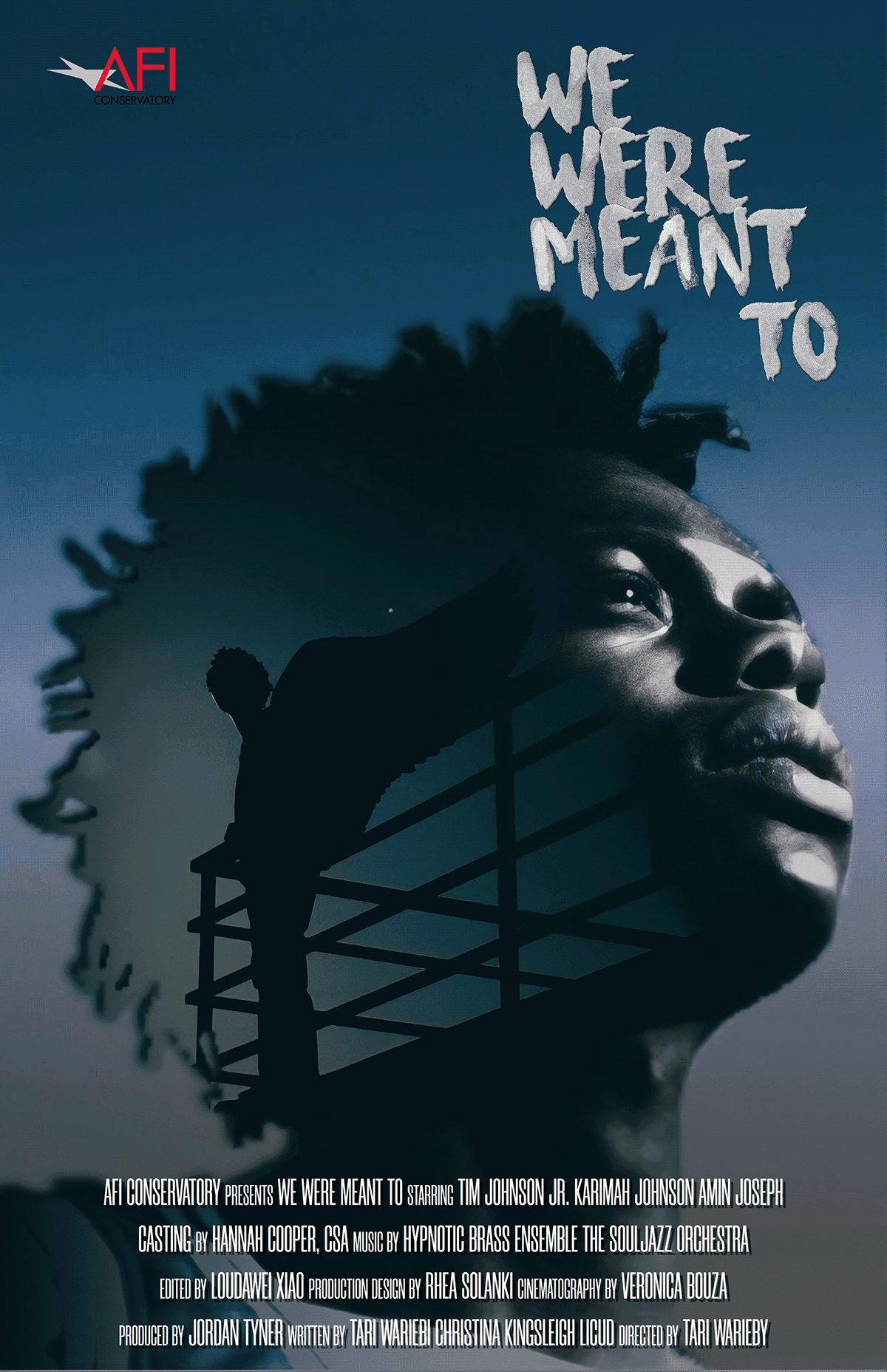 "We Were Meant To" Movie Poster โ image 1