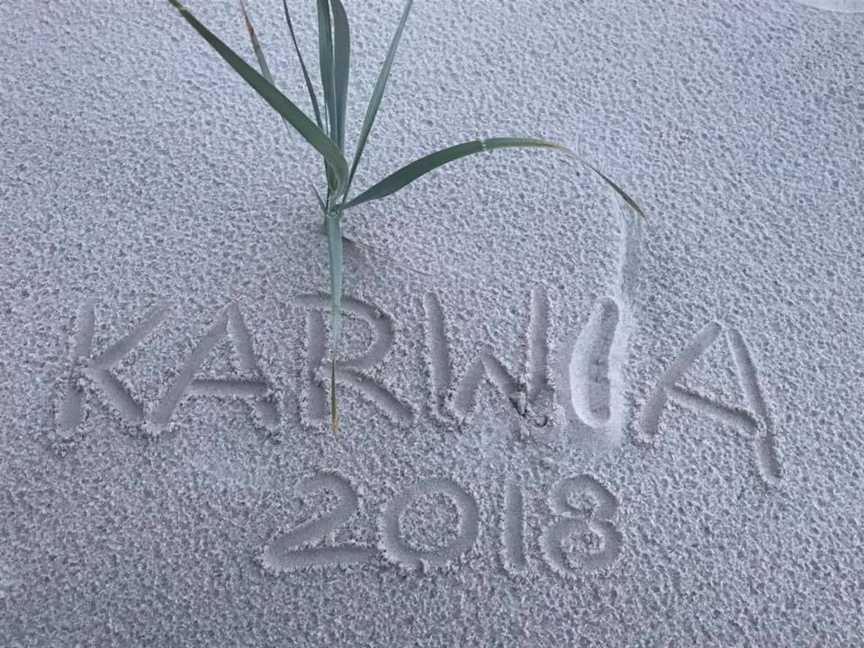 gray concrete dock bridge near seashore