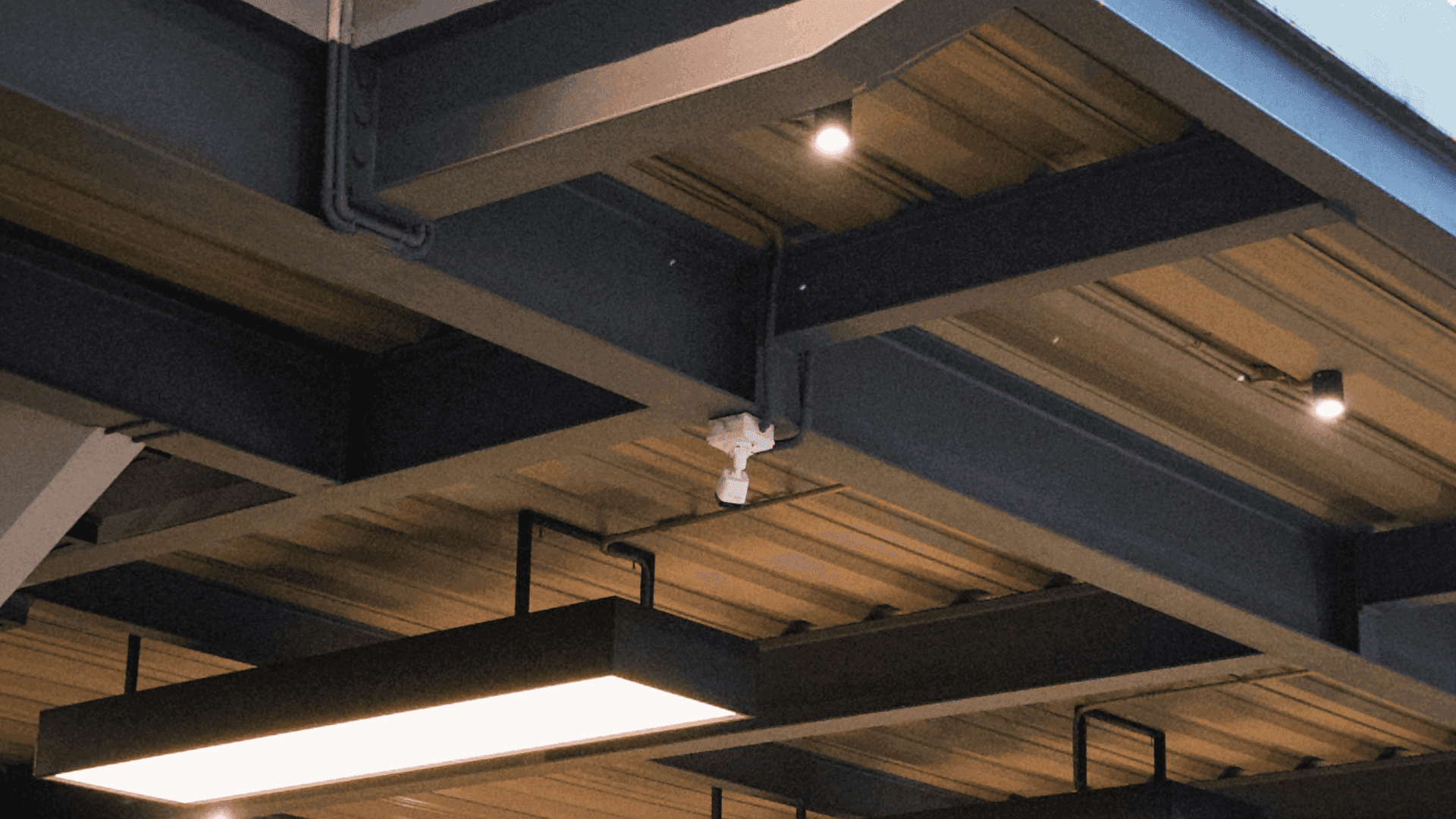 The Future of AI: Opportunities and Challenges