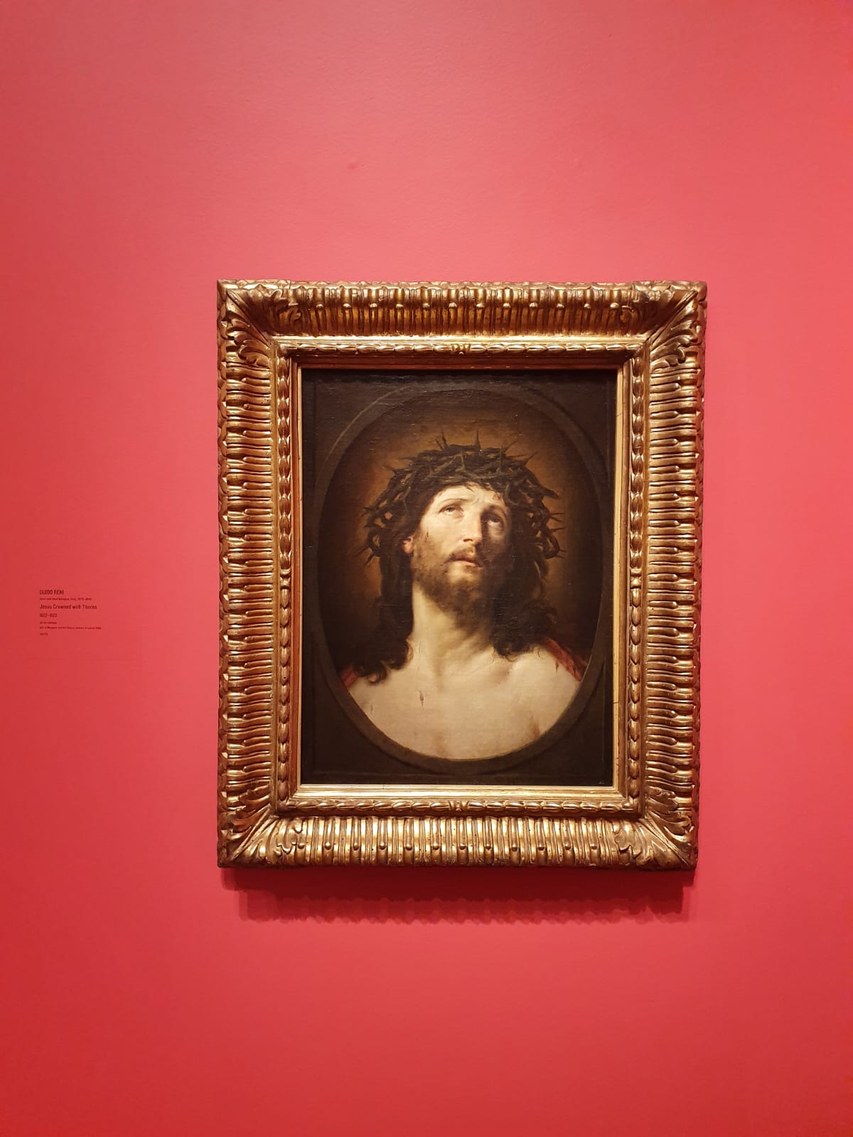 low angle view of a building