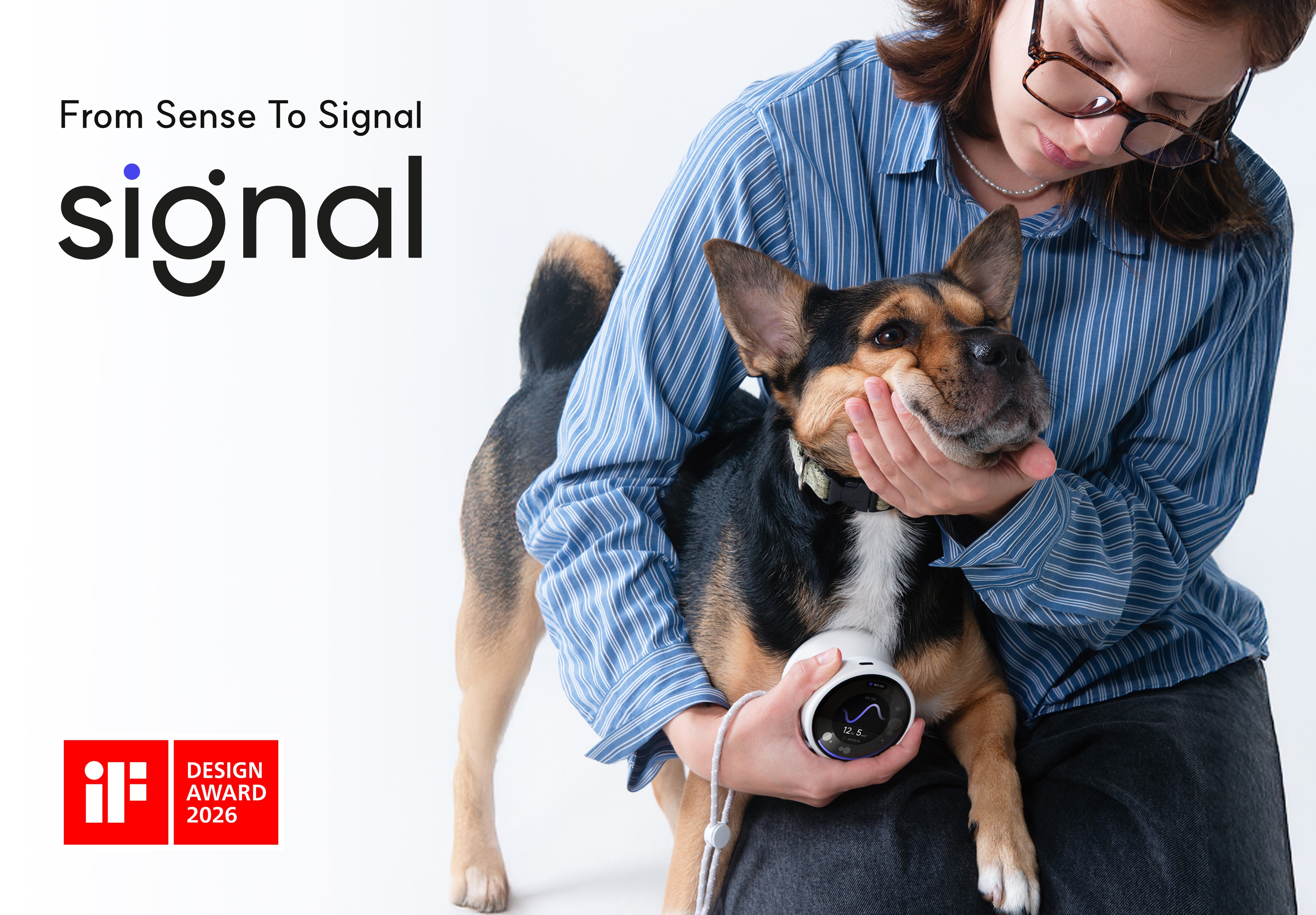 Laptop showing Bloomy UI