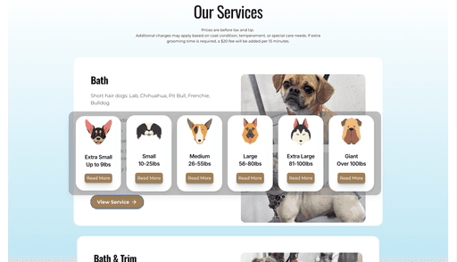 Custom Website Images Design By Moores Designs - Servicing Northwest Arkansas Businesses Wags to riches pet grooming