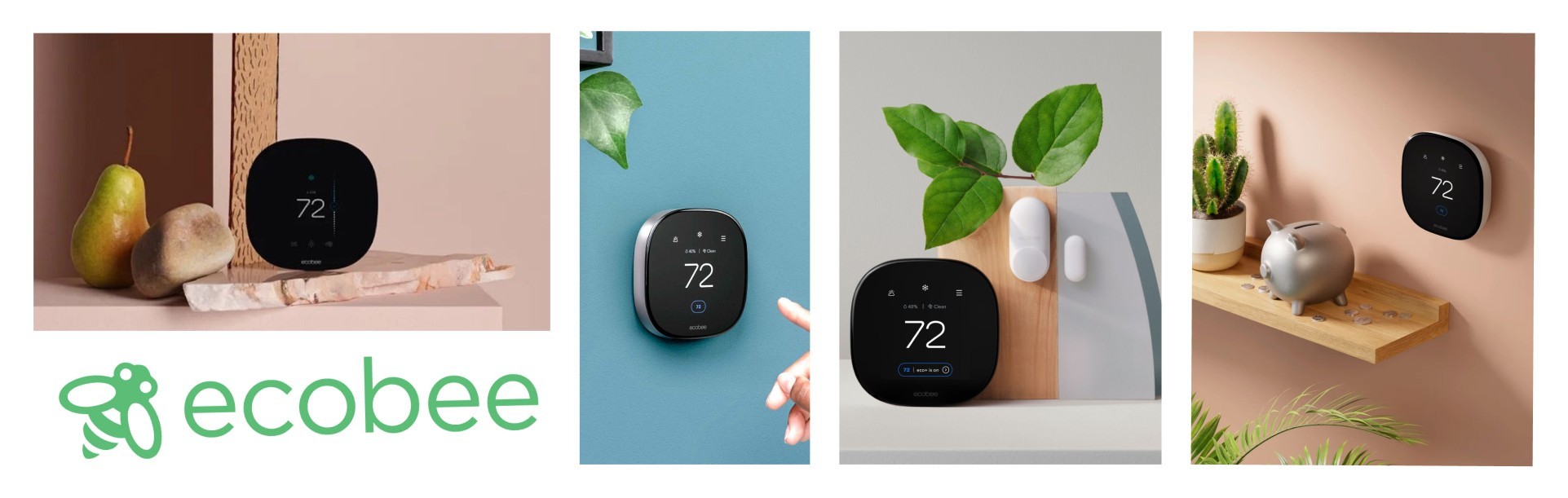 ecobee Marketing Strategy