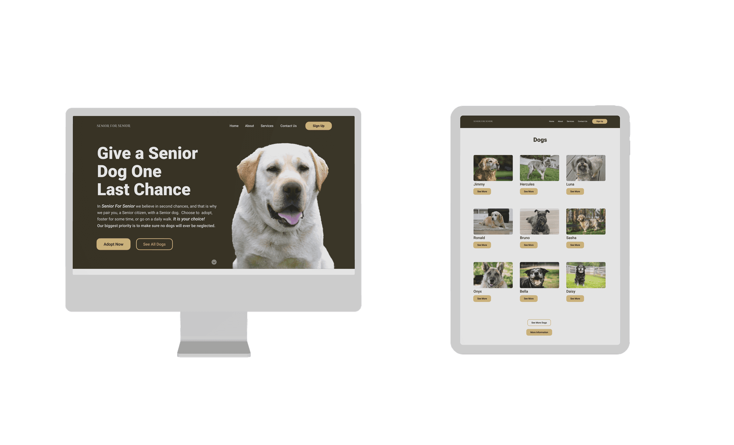 two mockups of the pages of the website