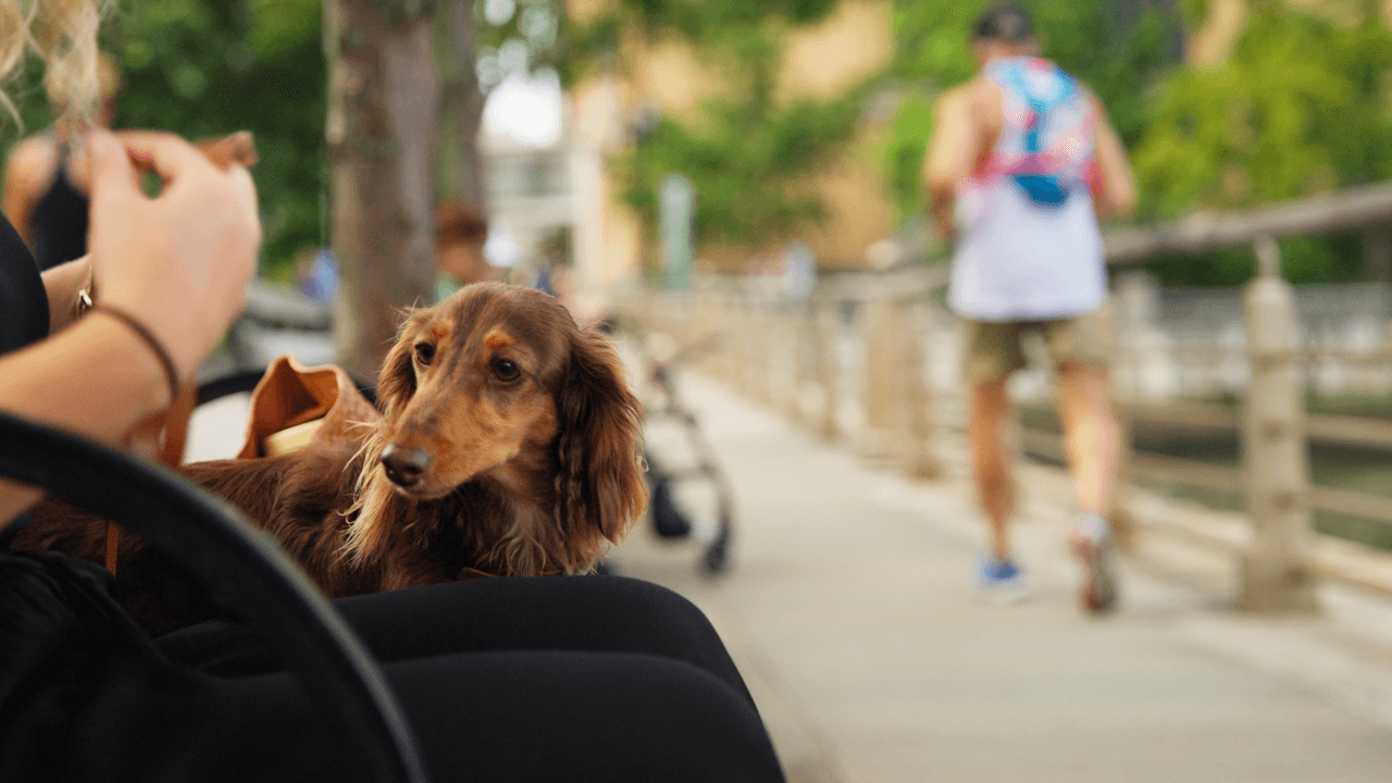 People on a small car  focused on a person's back