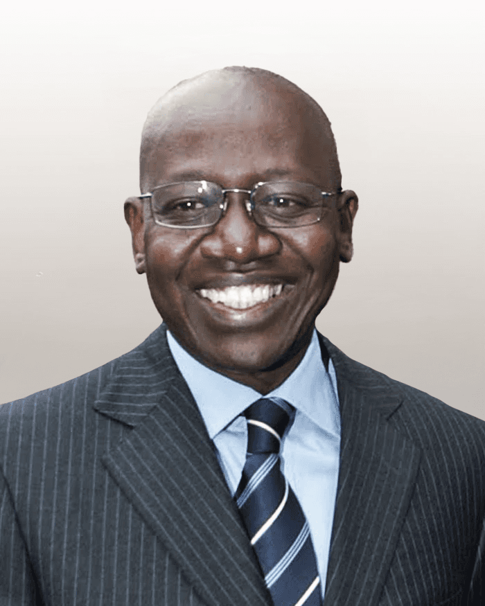 Jean-Léonard Touadi 