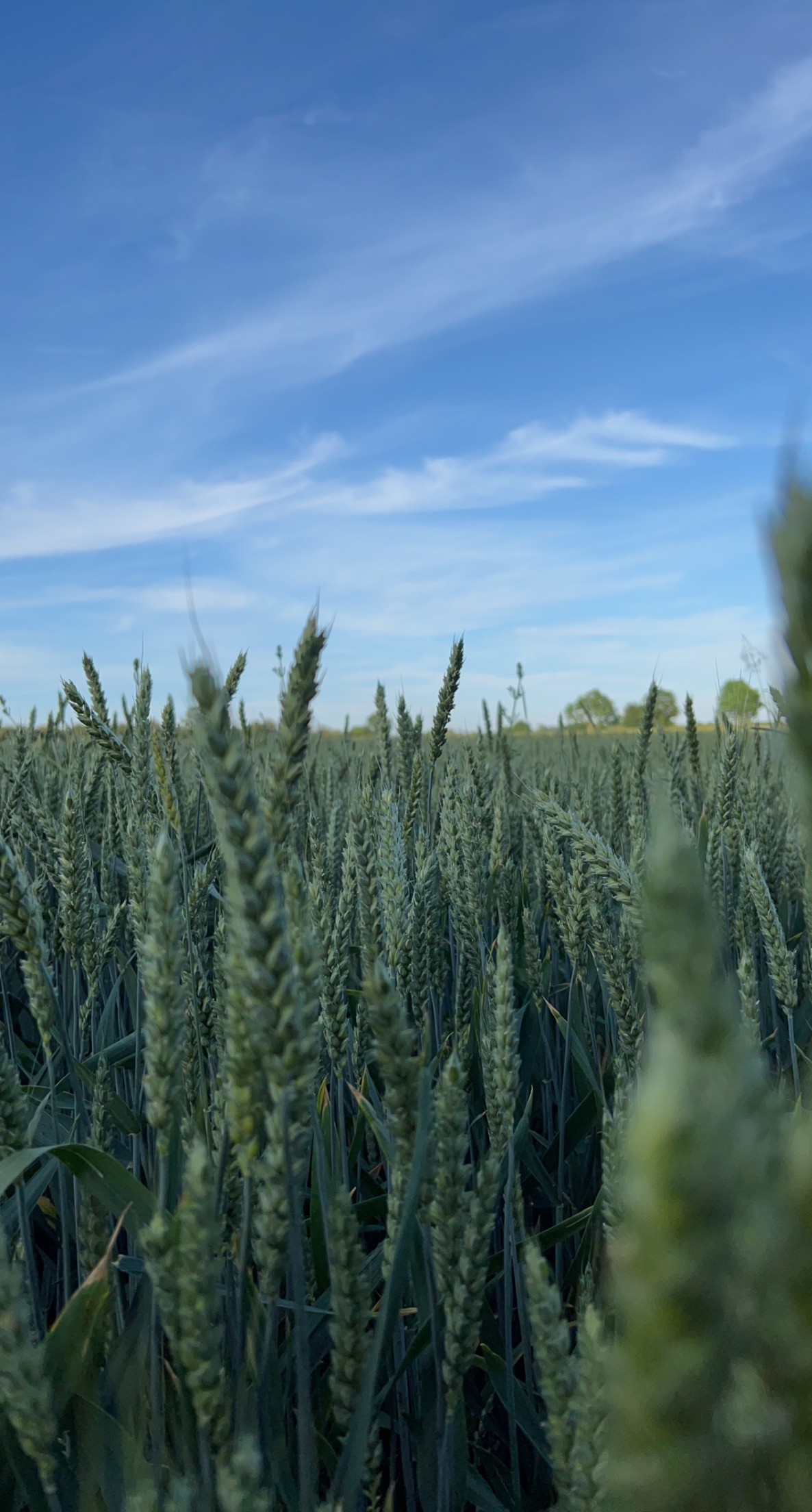 A young person with curly hair smiles at the camera while sitting in front of a laptop against a dark background.