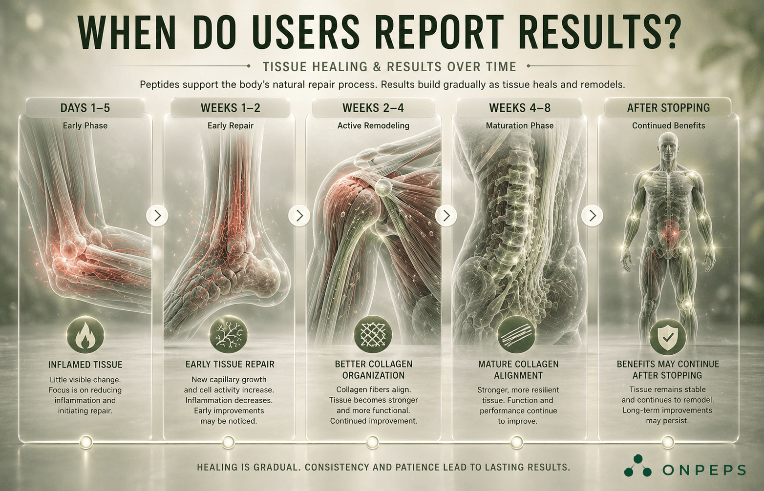 bpc 157 healing time Benefits of BPC-157 When an Injury Won't Heal: