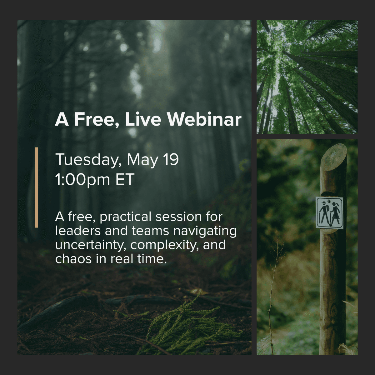 3 forest images with the text over them that says A Free live webinar Tuesday May 5th 11:00am ET A free, practical session for leaders and teams navigating uncertainty, complexity, and chaos in real time.
