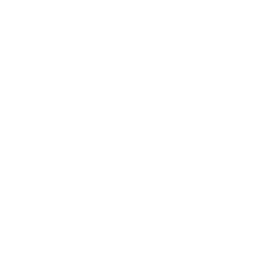 London School of Economics