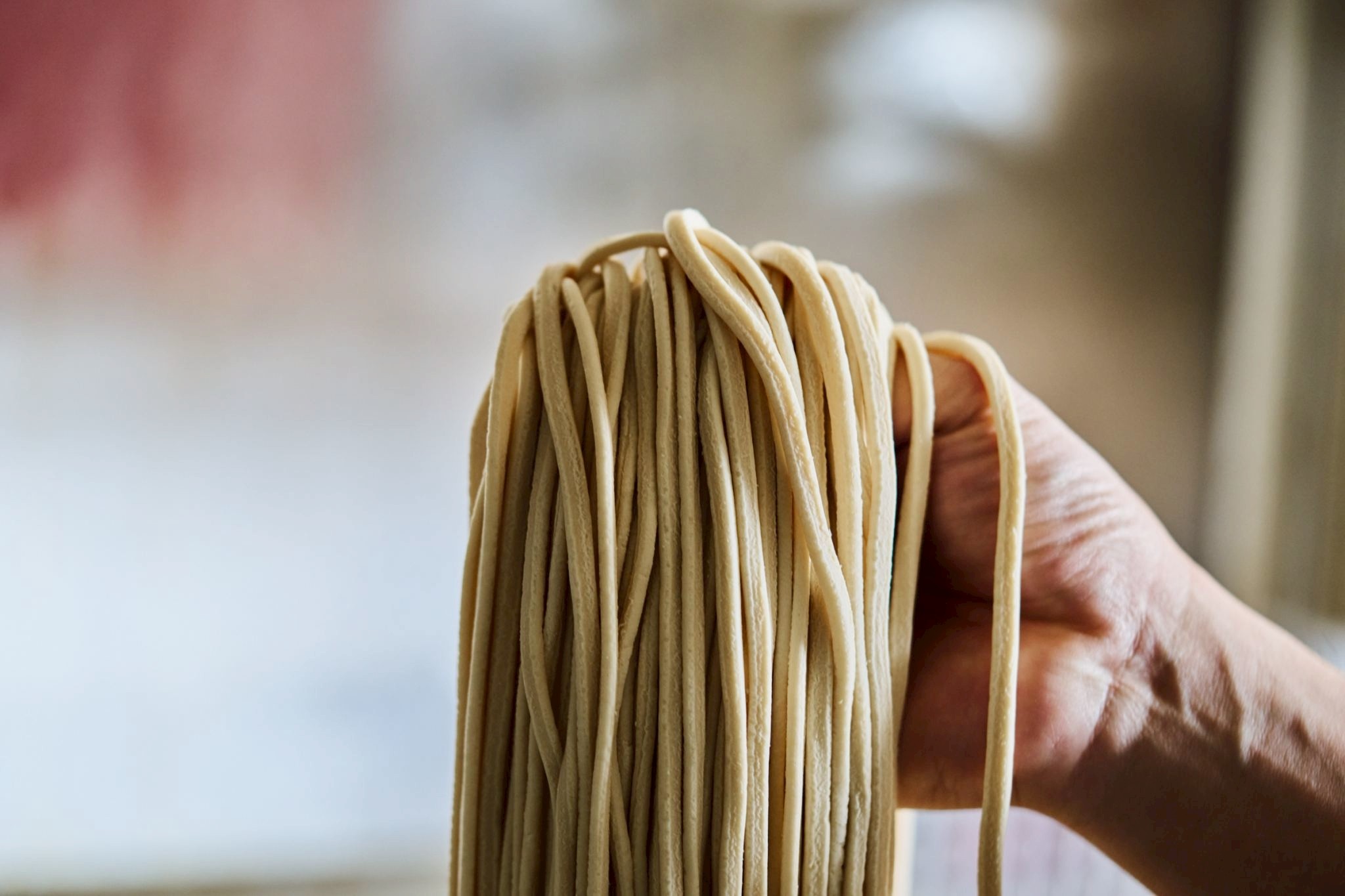 Freshly made udon being held up