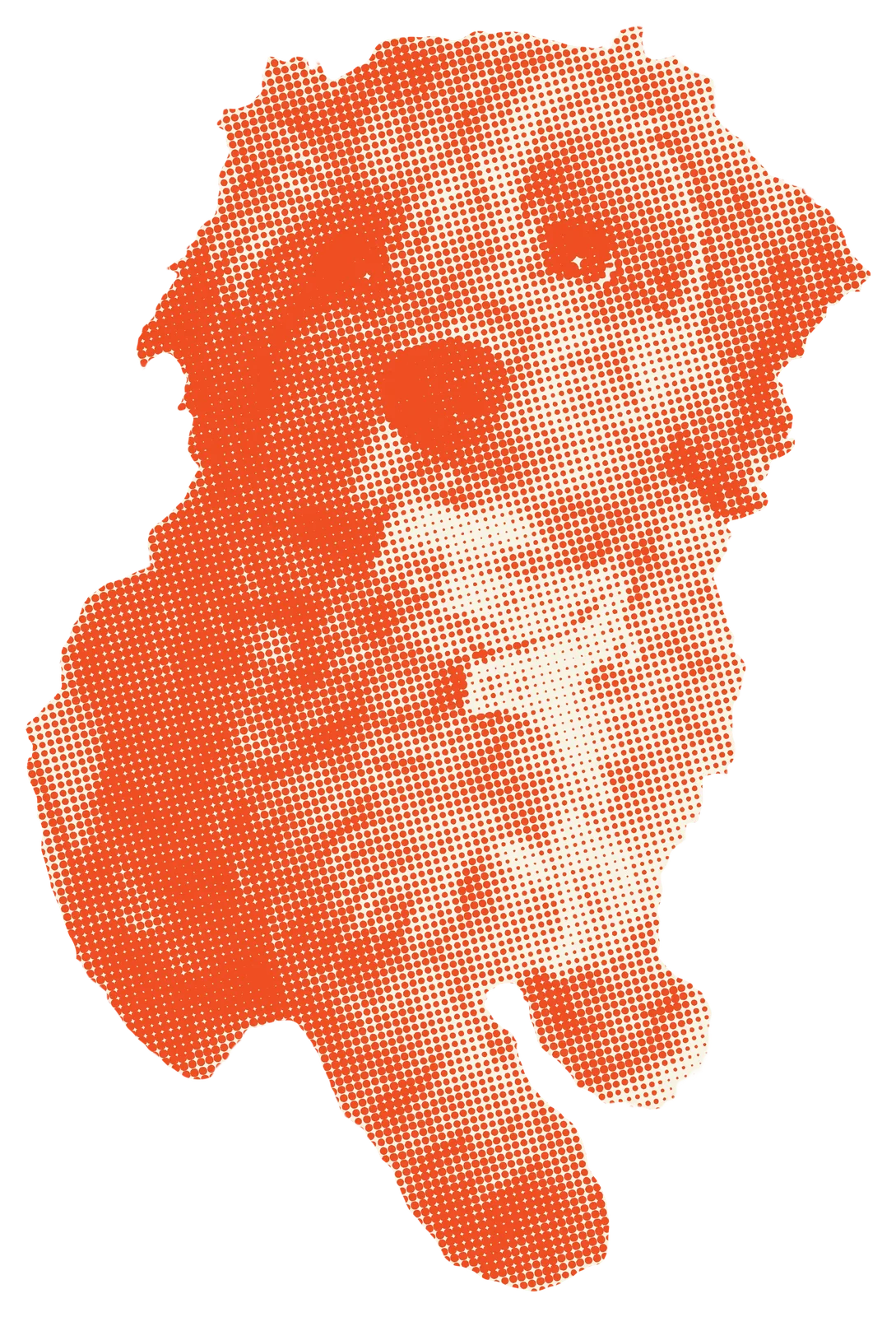 gracie.png