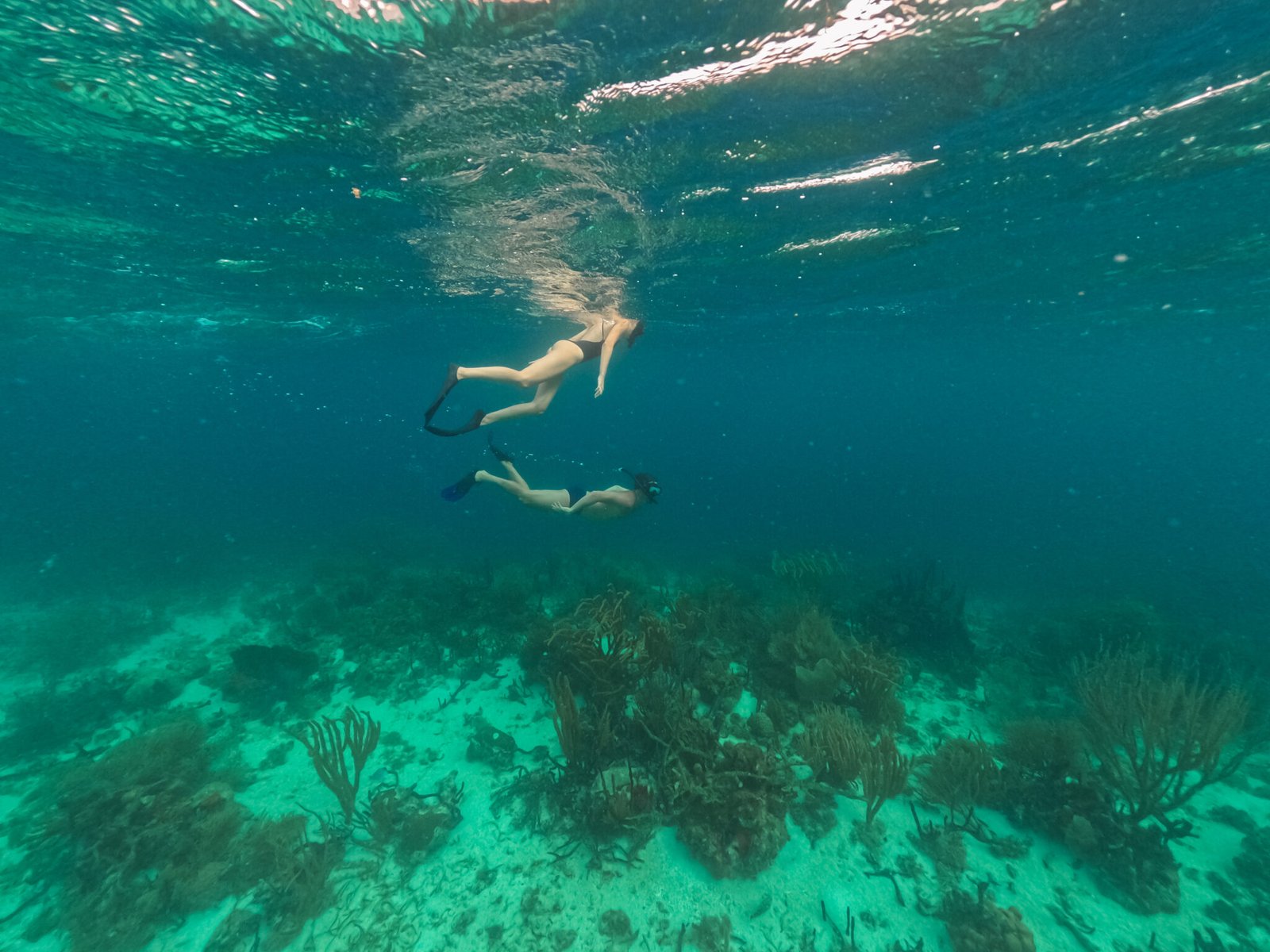 Best Snorkeling areas in San Blas Islands, Cayos Limones or Lemon Cays