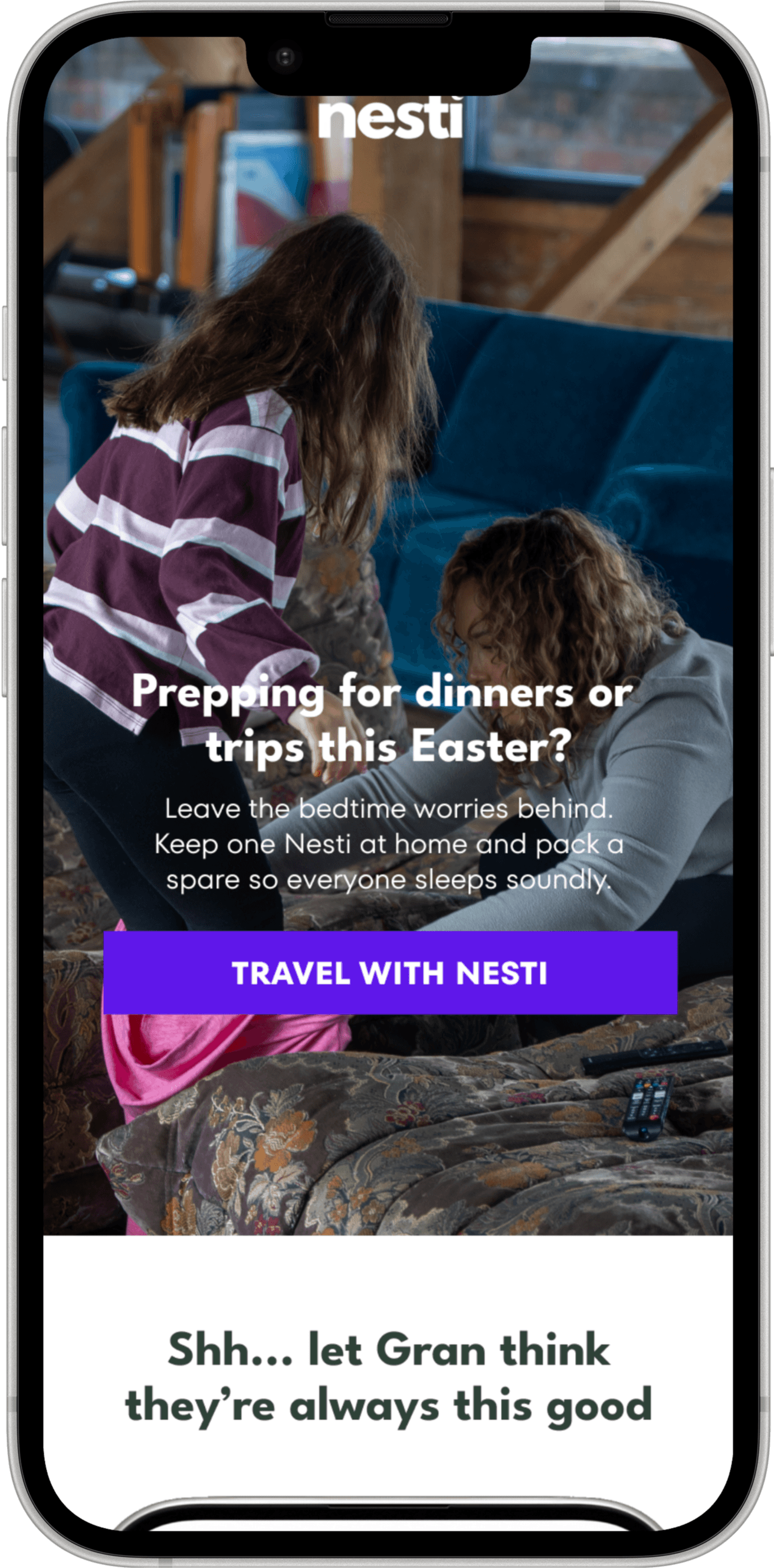 Email Mockup Design  for Nesti