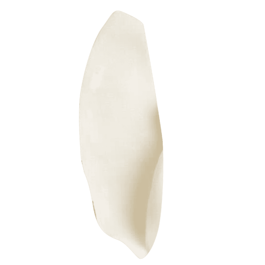 ลำไยทองอบแห้ง Golden Dried Longan