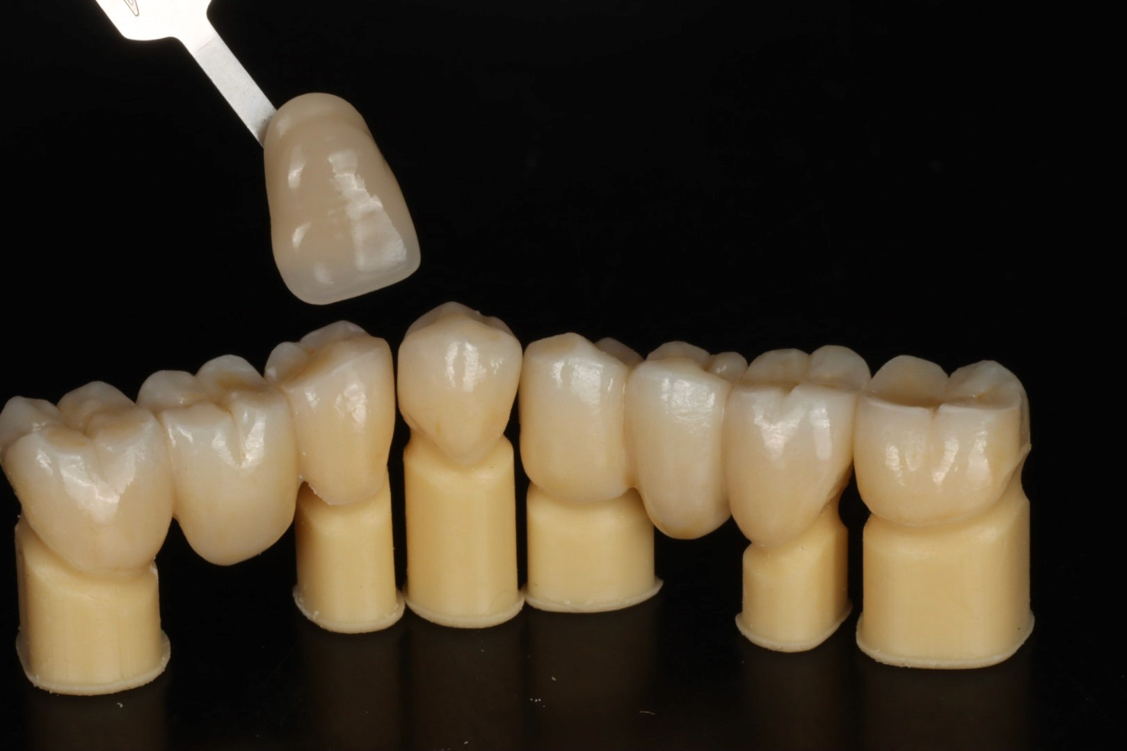 Dental team group photo with arts.