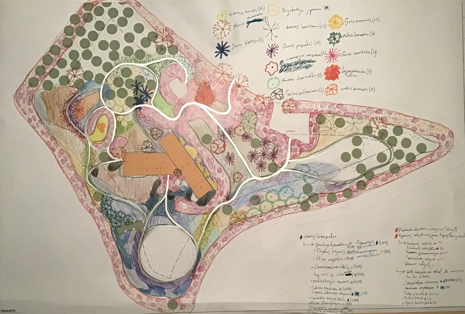 Boceto jardín