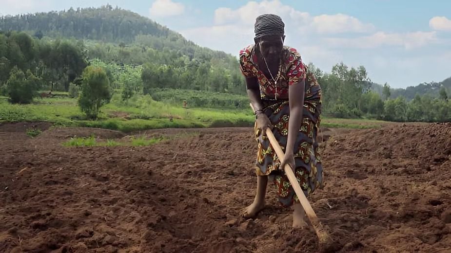 Subsistence Farming.jpeg