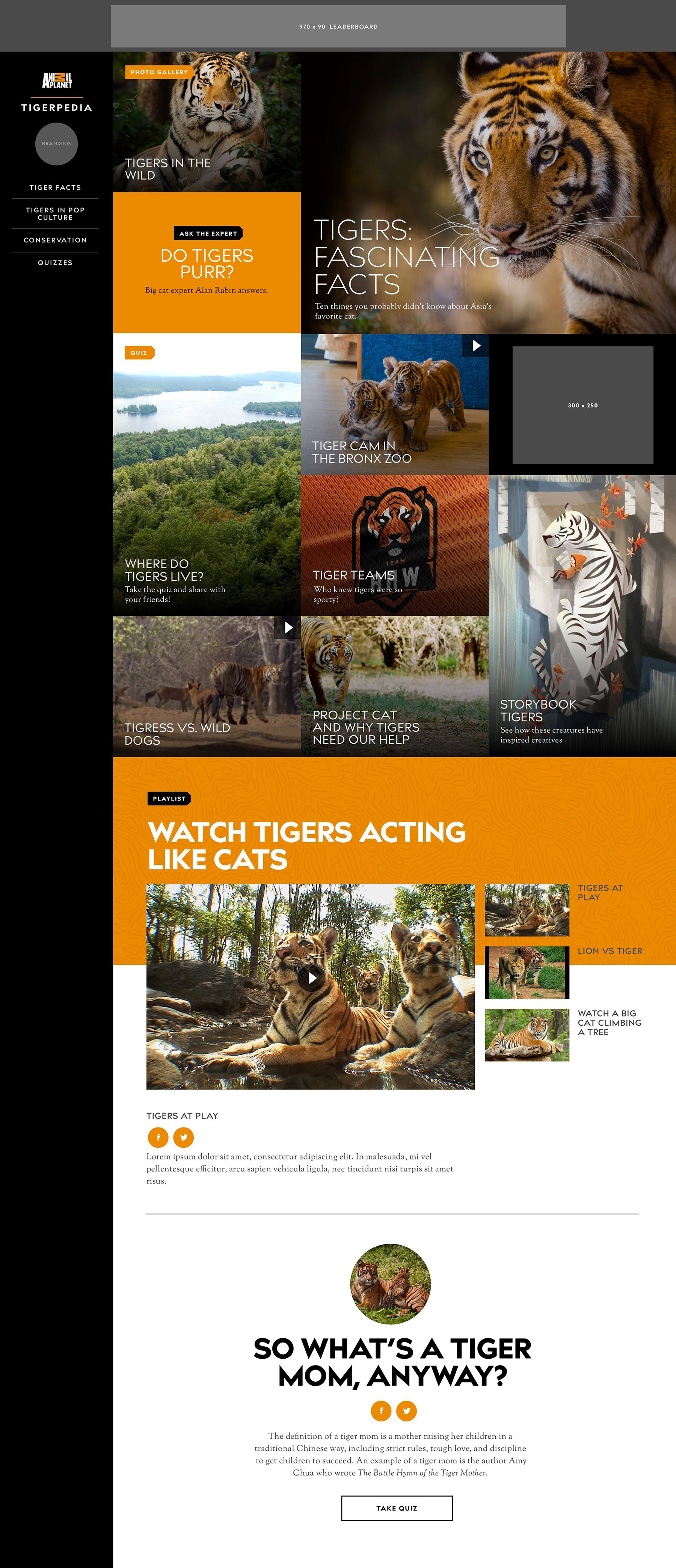 View of test screen with tiger content