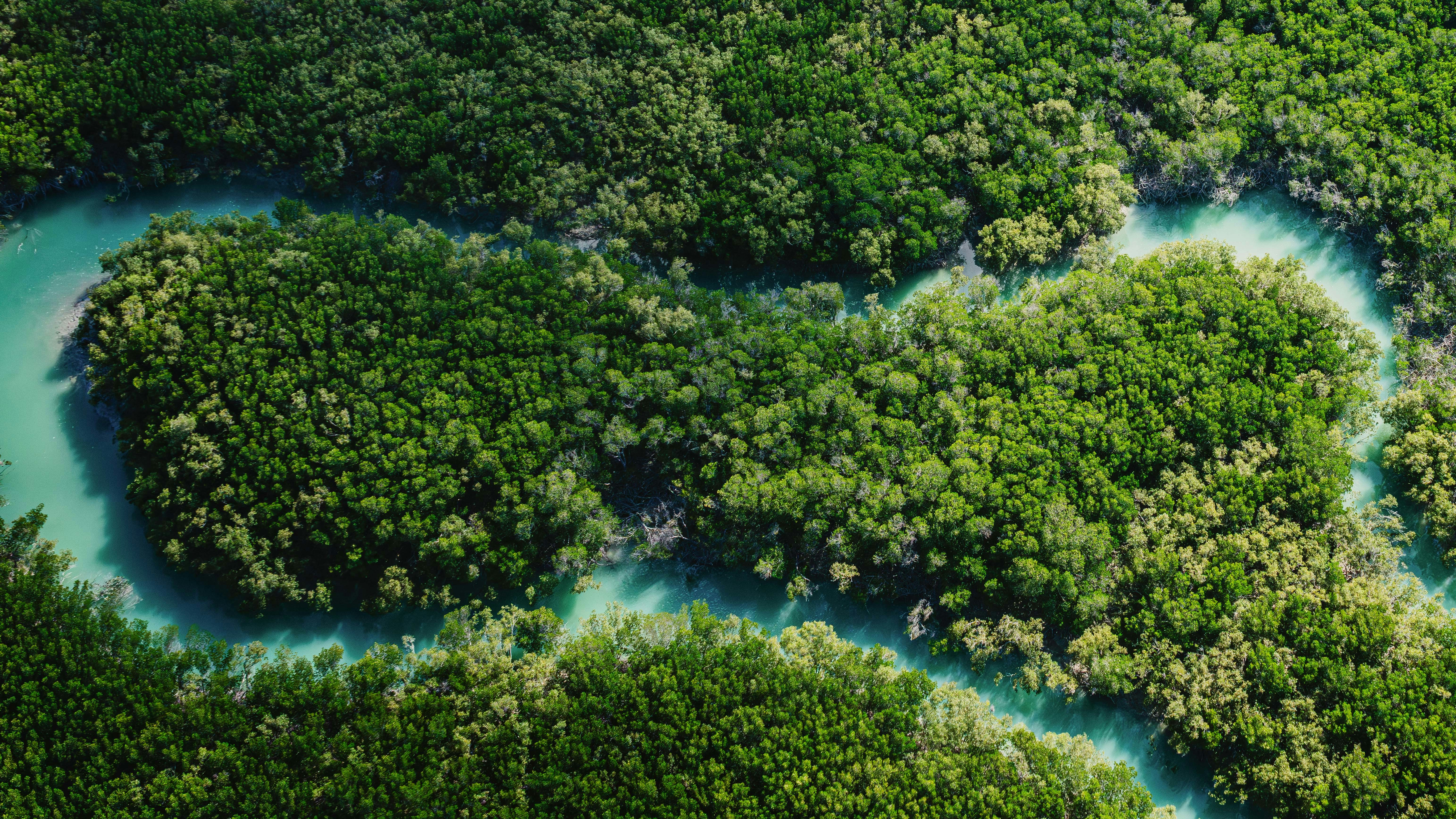 Aerial view of a winding river through lush green forest.