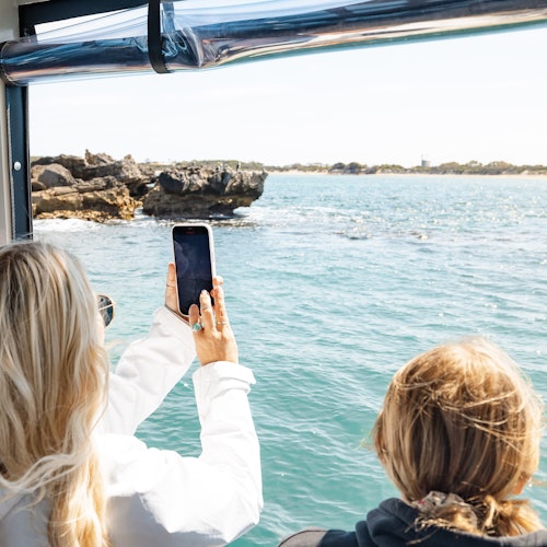 Viewing limestone reef