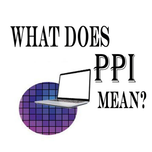 What does PPI mean