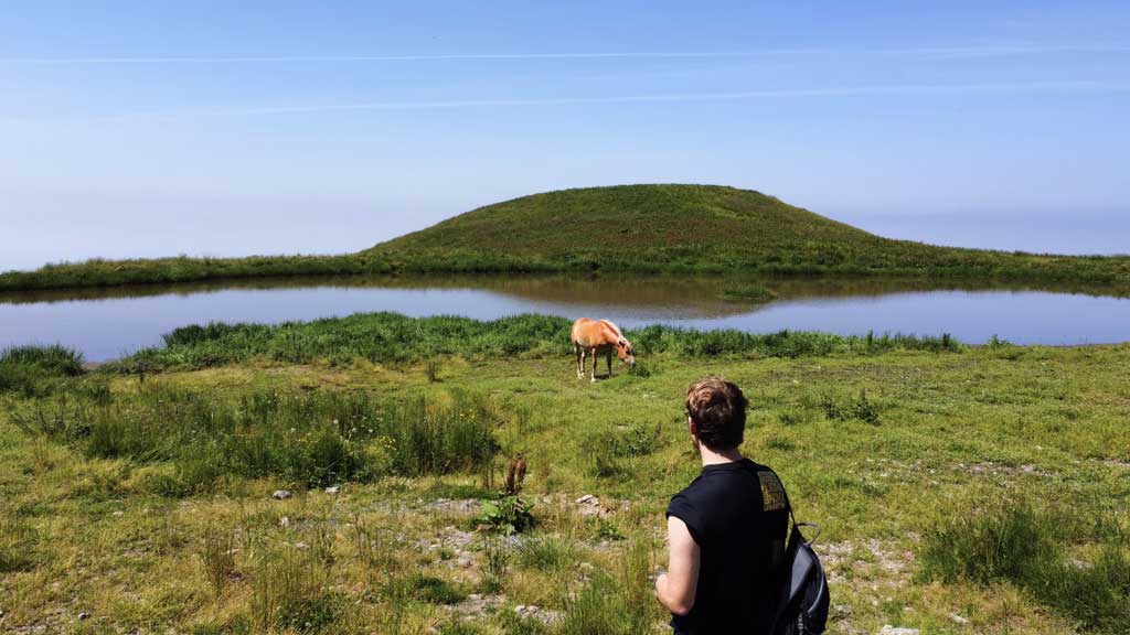 Image of Pit from behind with a horse in a mountain meadow with lake