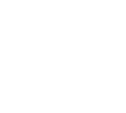 Spin Animation