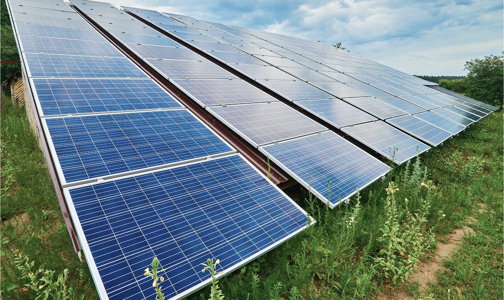 solar panels in the yard