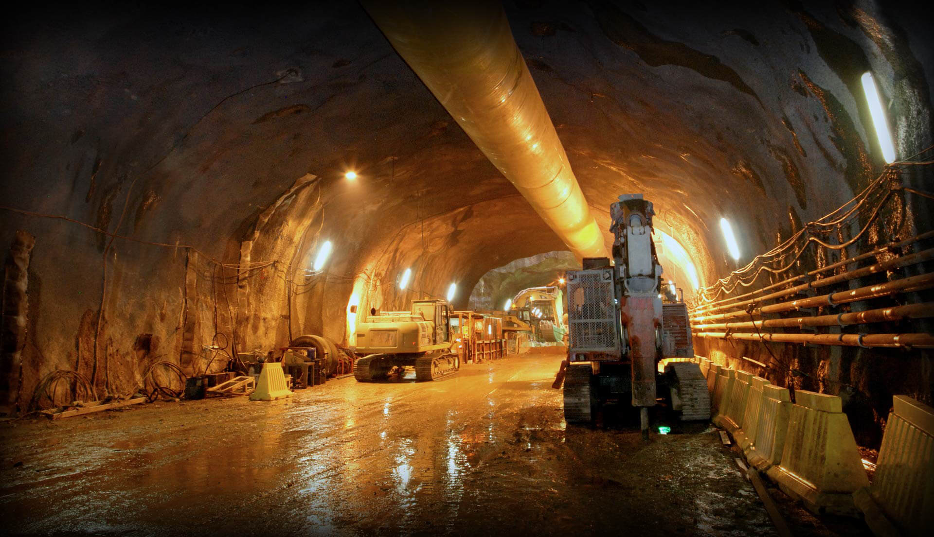 Image of Team Member