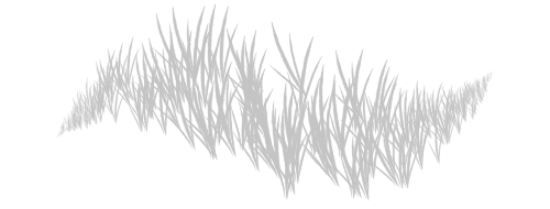 Grassy Dense