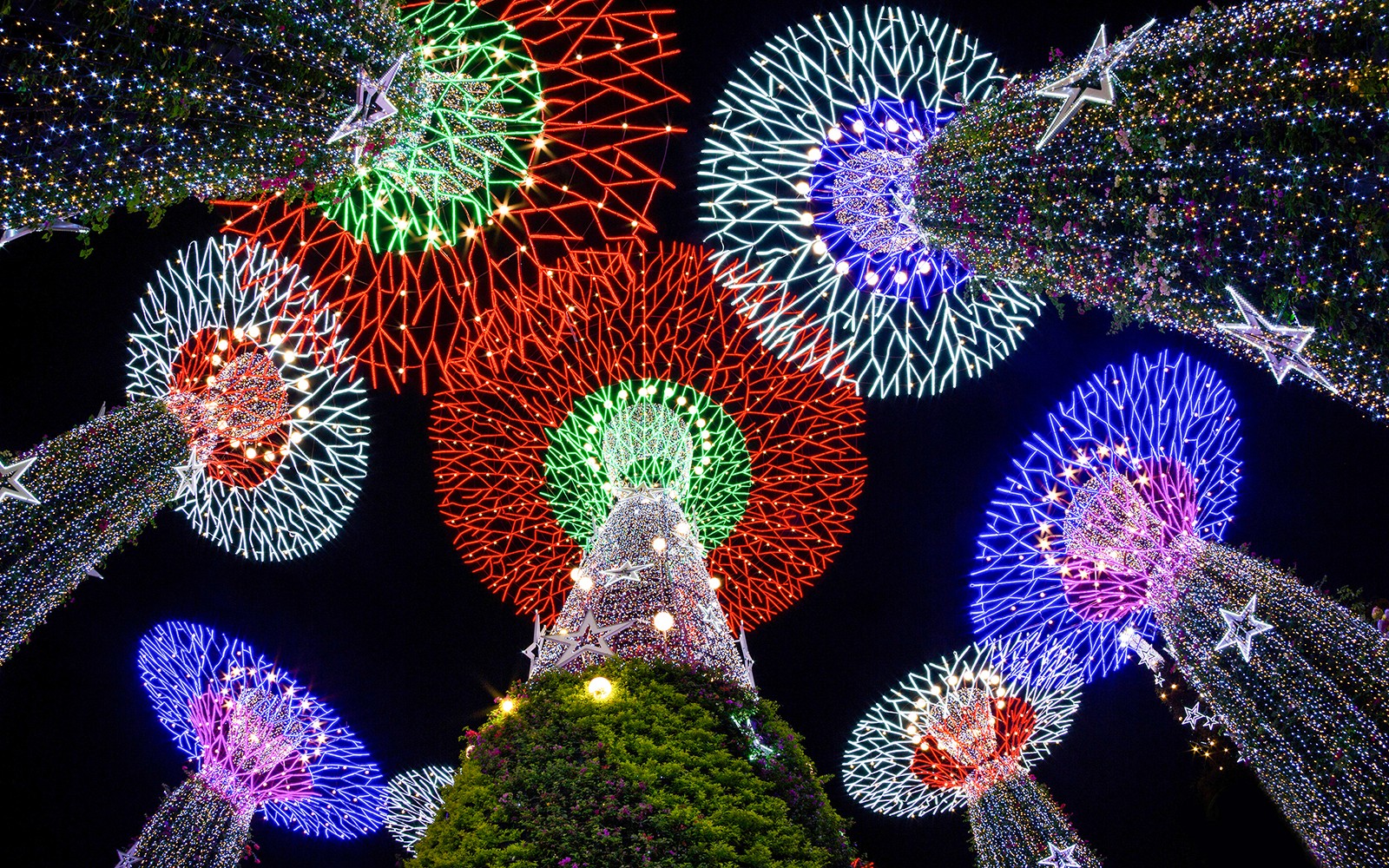 Penyalaan pohon Natal di Singapura, Big Bus