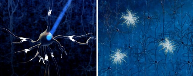 optogenetics