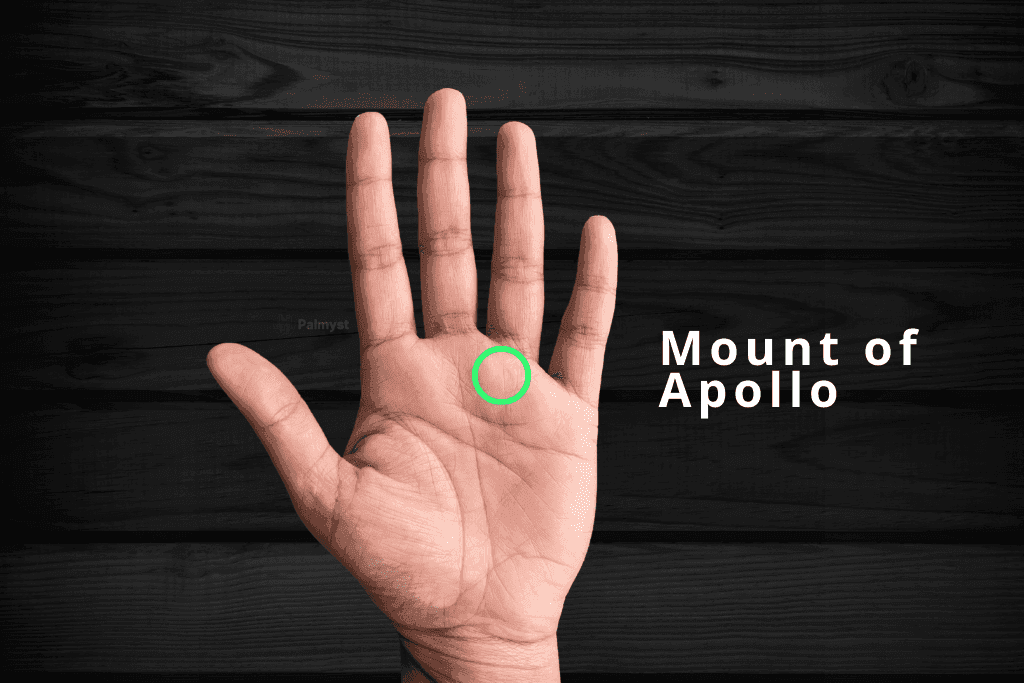 Mount of Apollo in Palm Reading - Palmyst