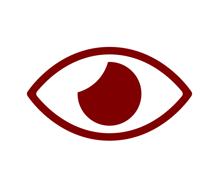 First-Person Immersion