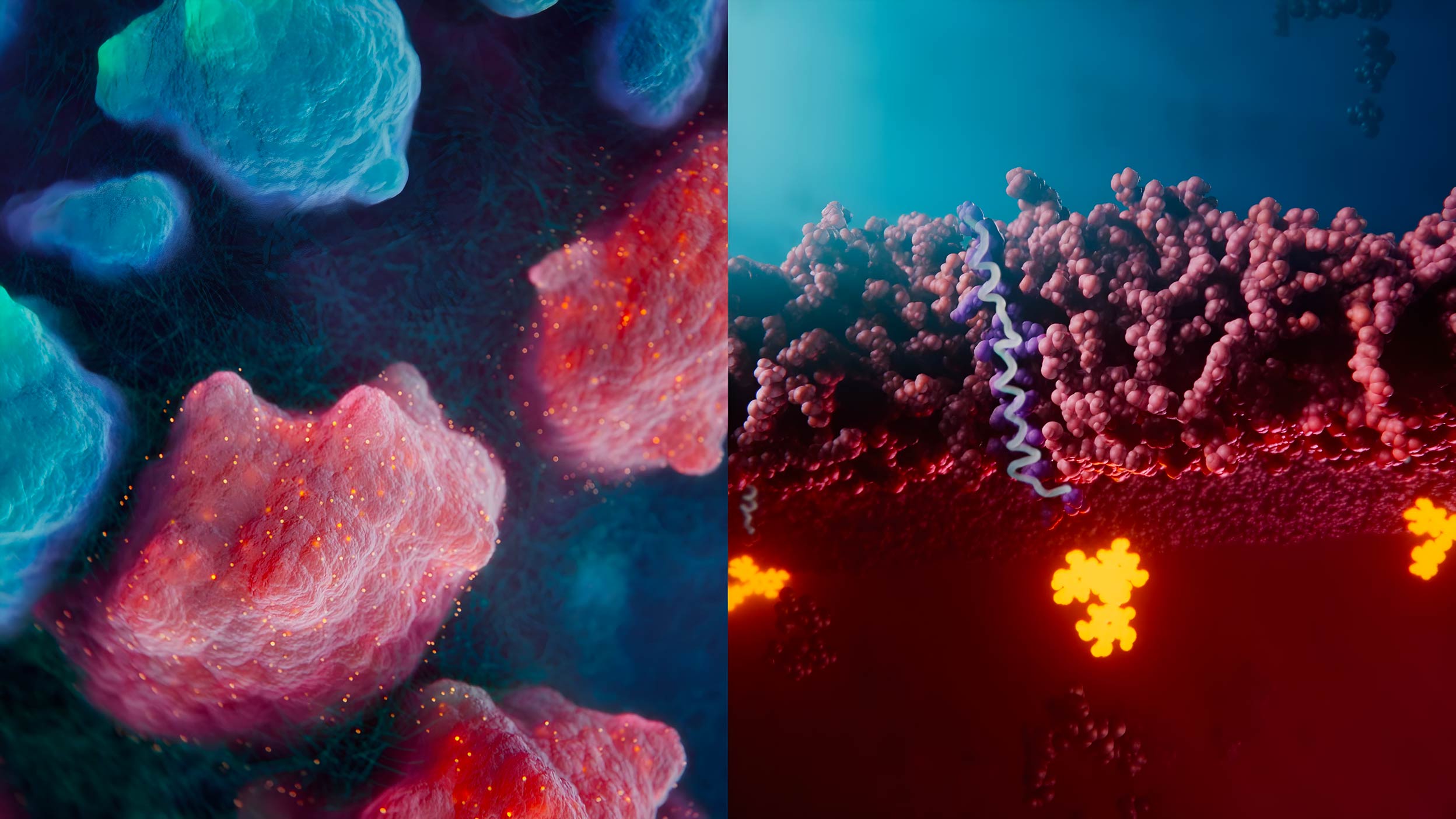 Split-screen visualization of the cancer cells and molecular close-up of the therapy entering these cells