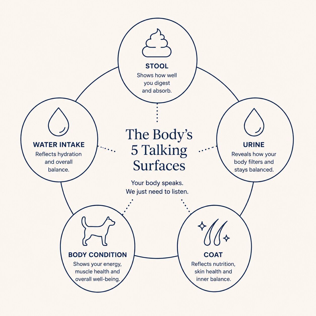 Clean line-art schematic of the body’s five talking surfaces — stool, urine, water intake, body condition, and coat — arranged as a minimal diagram illustrating the five observation layers the methodology covers.