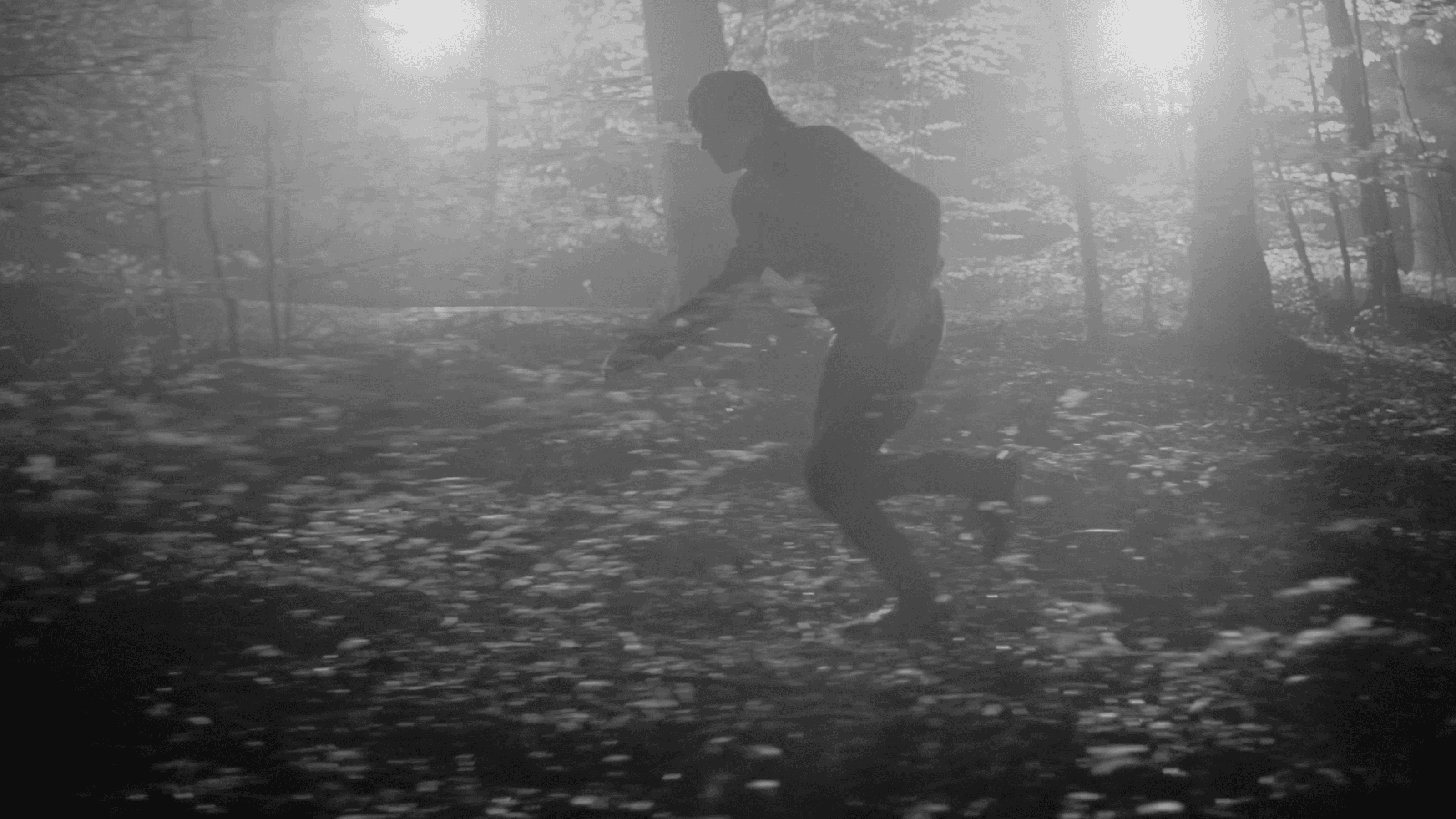 Too Long - Maxim Seelig - Music Video - Forest Running Flashing Blinding Lights