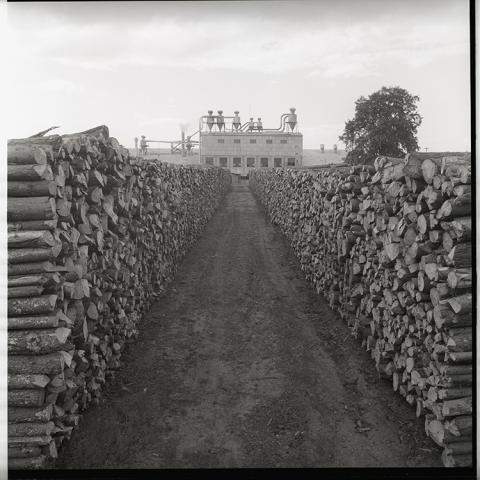 Planta de celulosa INFORSA.