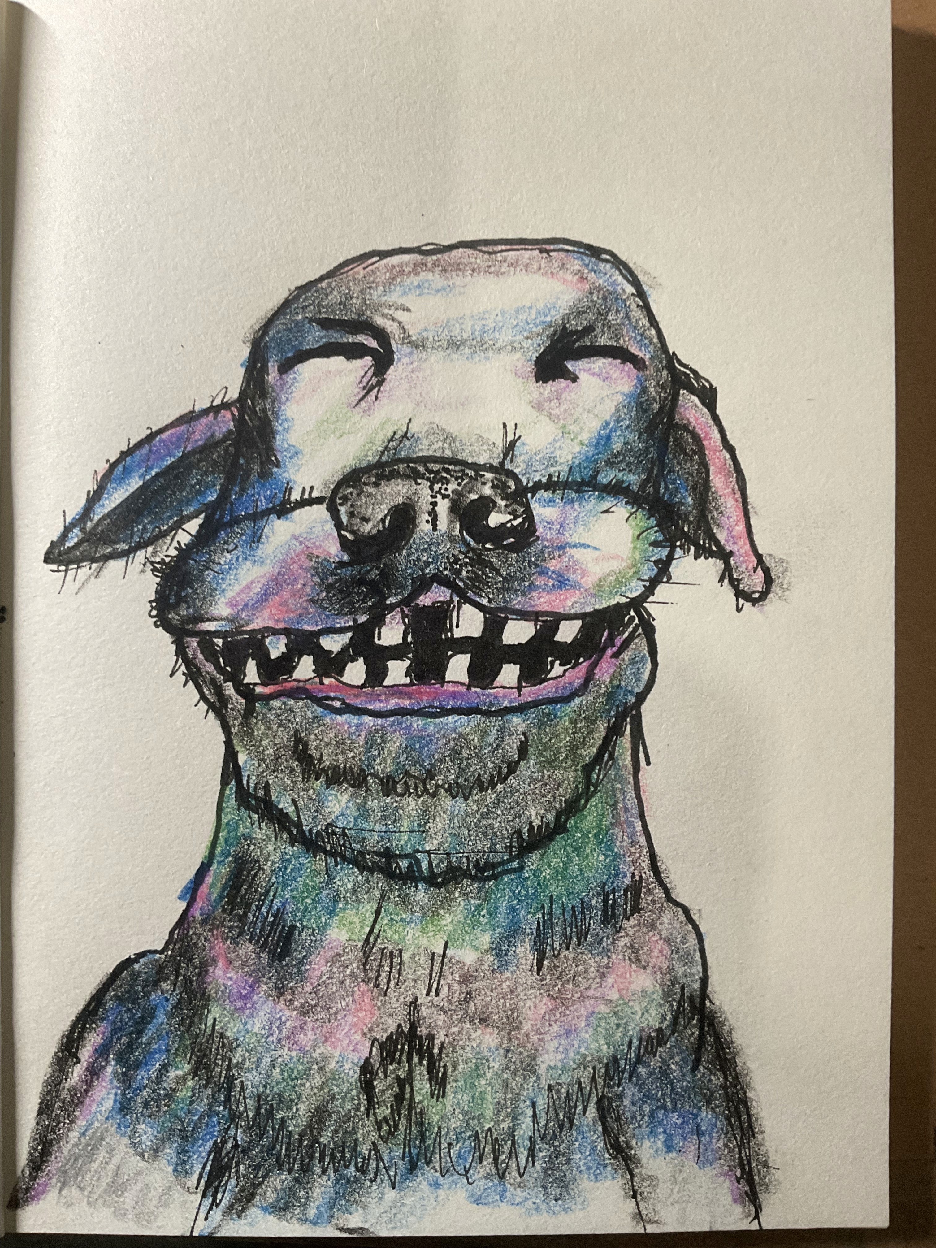 color-dog