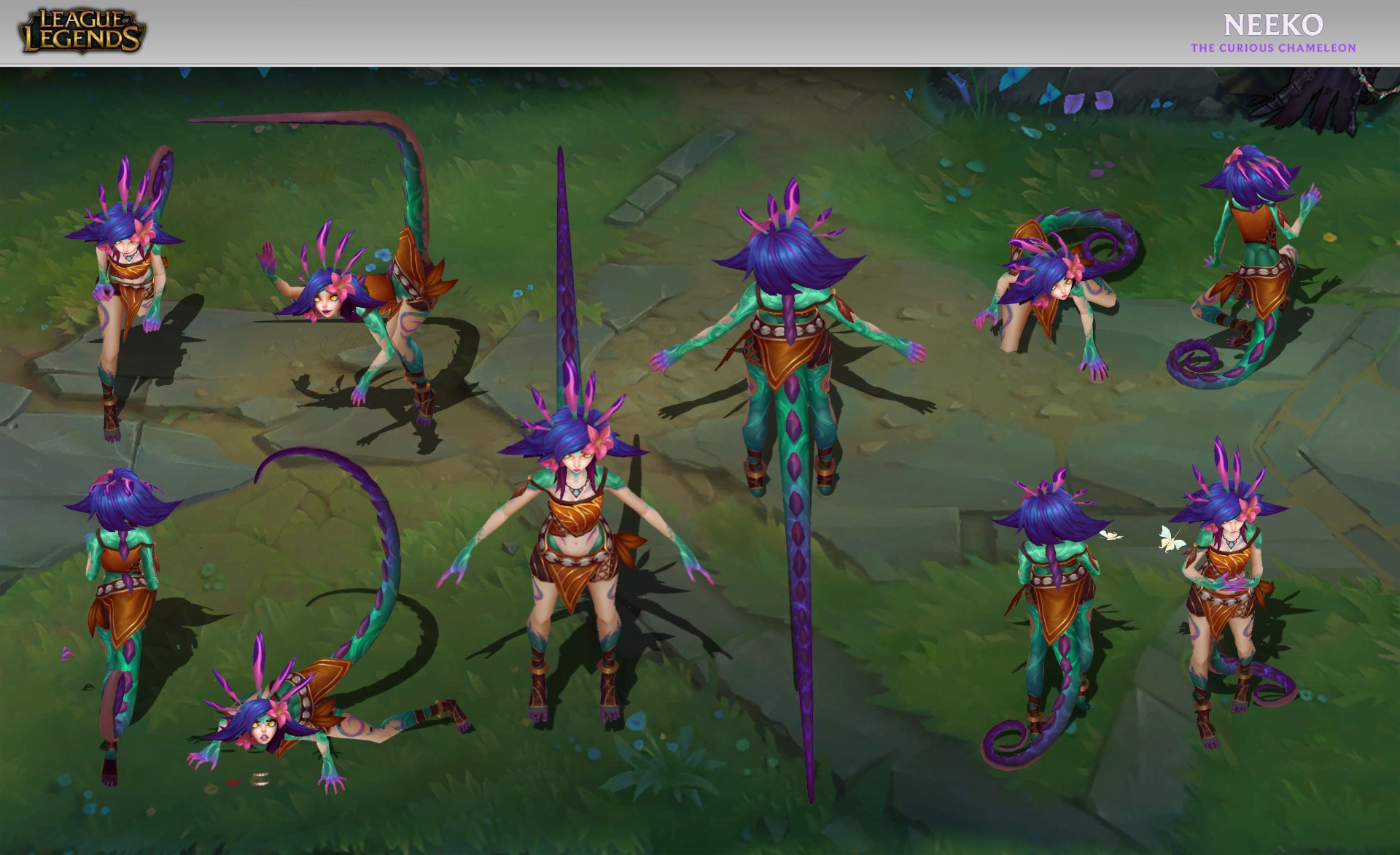 Neeko 20