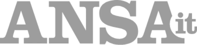 ansa logo