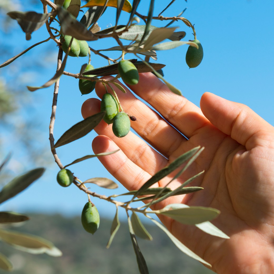 intended attendees for an event