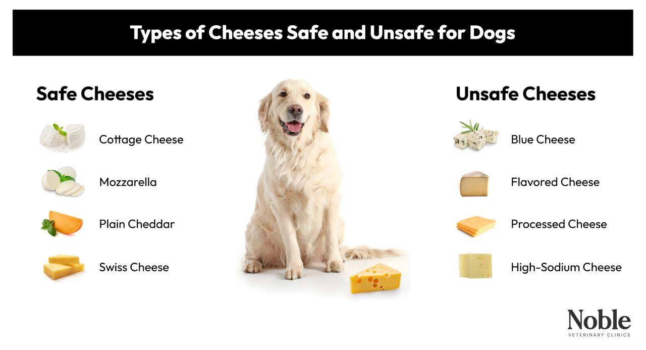 Types of Cheese: Safe vs. Unsafe
